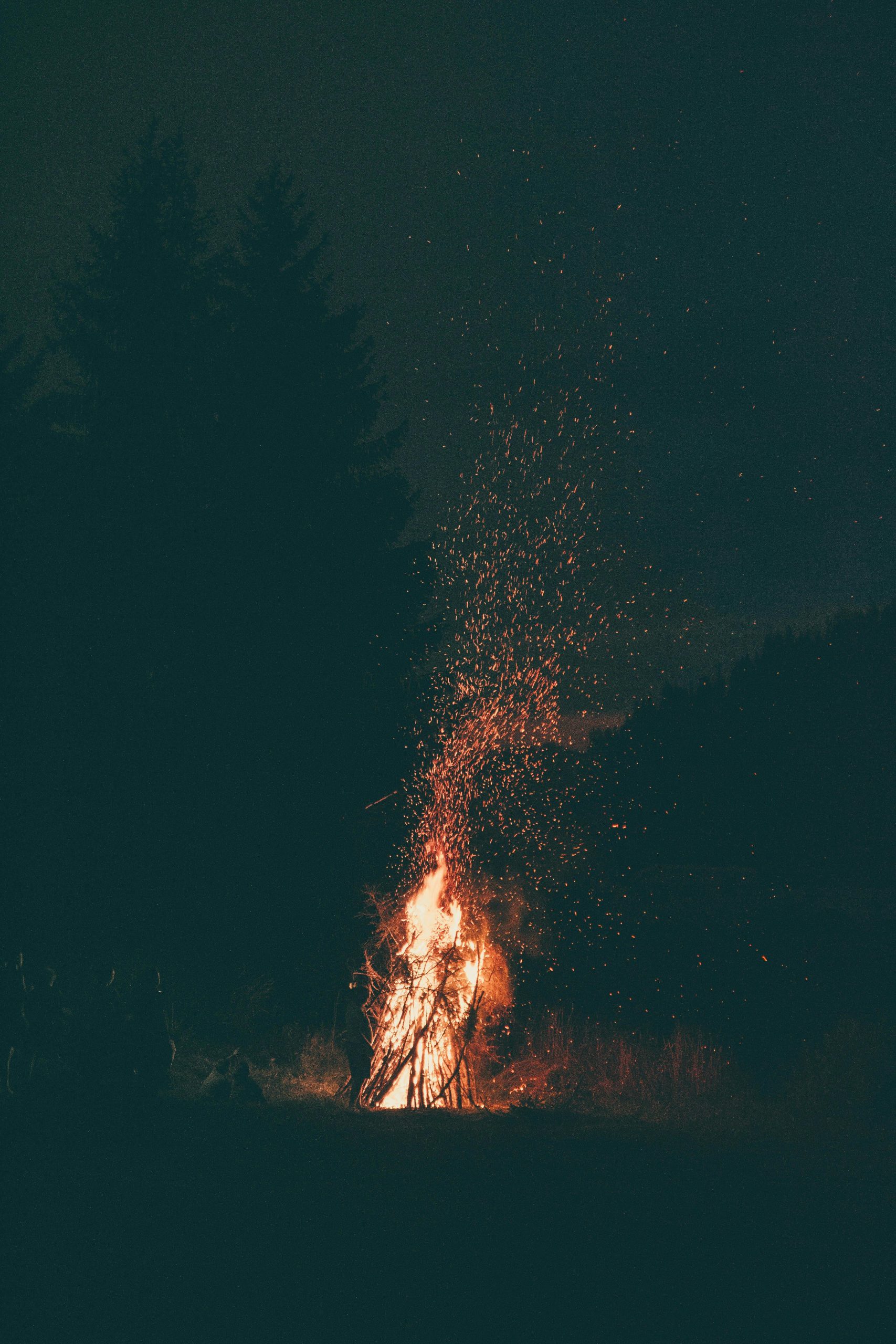 A serene campfire crackling under a starry night sky surrounded by forest.