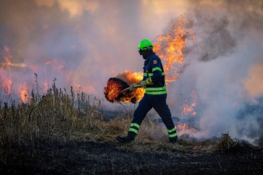 fire, nature, field, firefighter, firefighting, wildfire, bushfire, burning, smoke, meadow, grass, catastrophe